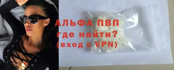 твердый Козельск