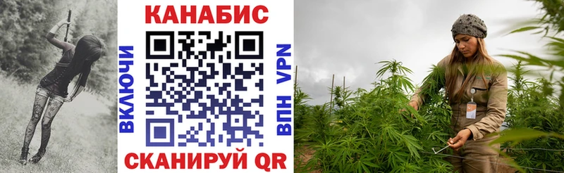 Каннабис сатива Лабытнанги